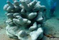 D-Shape: Printing a Future for Ocean Biodiversity