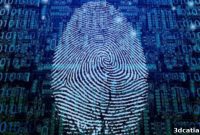 Digital Doubles: 3D Printed Fingerprints and the Future of Security