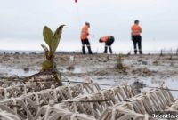 3D Printing: Engineering Coastal Resilience