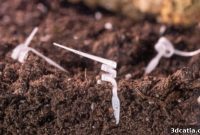 I-Seed: The 4D Robot Redefining Air and Soil Monitoring