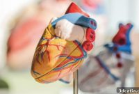 Cardiopatch: A 3D Printing Breakthrough for Heart Conditions