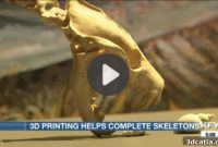 Top 5 Videos: 3D Printing Resurrects a Prehistoric Bear