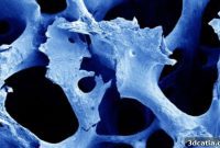 Bio-Piezoelectric Smart Scaffolds: Driving Bone Regeneration with 3D/4D Printing