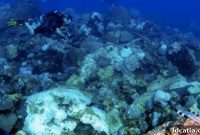 Ancient Strength, Modern Precision: 3D Printing Roman Concrete for Coral Reefs