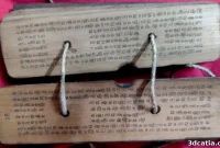3D Printing Unlocks Ancient Palm Leaf Secrets