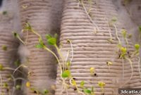 Urban Reef: Forging Green Futures with 3D Nature