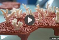 Ocean Rebirth: 5 Videos on 3D Printed Reefs Rescuing Marine Life