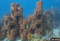 Printing Paradise: Virgin Islands Use 3D Tech to Save Reefs