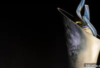Record-Breaking 3D Print Takes Center Stage at Super Bowl LVIII