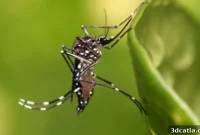 3D Printed Thermal Canister: Halting Mosquito Diseases