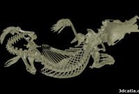 UC Berkeley Spearheads Vertebrate Collection Digitization with oVert