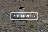 Hatching Hope 3D Printed Eggs for Bird Conservation