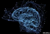World’s First High-Resolution 3D-Printed Brain Phantom