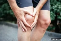 3D Printed Silk Bio-Ink: Next-Gen Meniscus Repair