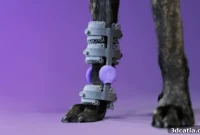Wimba 3D Prints Personalized Orthopedic Solutions for Pets