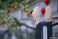 Octinion Redefining Strawberry Picking with 3D Printed Robots