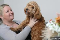 Paralyzed Puppy Walks Again Thanks to 3D Printed Spinal Implants