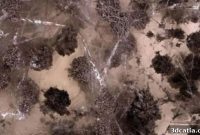 Fungal Bioconstruction for Aerospace Applications