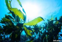 Microalgae Ink Fuels Sustainable Healthcare 3D Printing