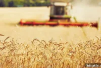 Revolutionizing the Harvest: 3D Printing in Agriculture