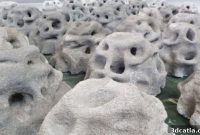 Coastruction: Reshaping Reefs with 3D Innovation