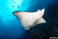 Manta Ray-Inspired Filters Emerge from MIT 3D Printing