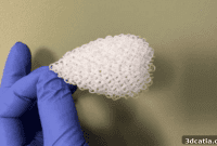 Pioneering PAMs: A New Era for 3D Printing Materials