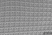 Steel-Strong, Foam-Light: Toronto Researchers 3D Print Revolutionary Nanomaterials