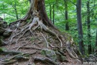 Rooted Resilience: Building Durable Electronics with Additive Manufacturing
