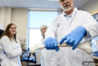 3D Printing Personalized Bone Grafts: Tailored Solutions for Healing
