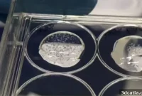Bioprinted Mini-Placentas: Unlocking the Secrets of Pregnancy Complications