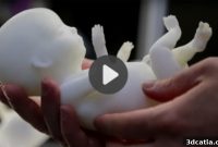 Weekly Deep Dive: The Unfolding Story of 3D Printed Embryos