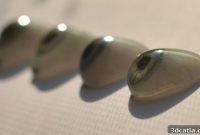 First 3D Printed Eye Enters Market