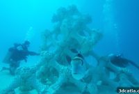 Digital Reef Takes Root in Indian Ocean