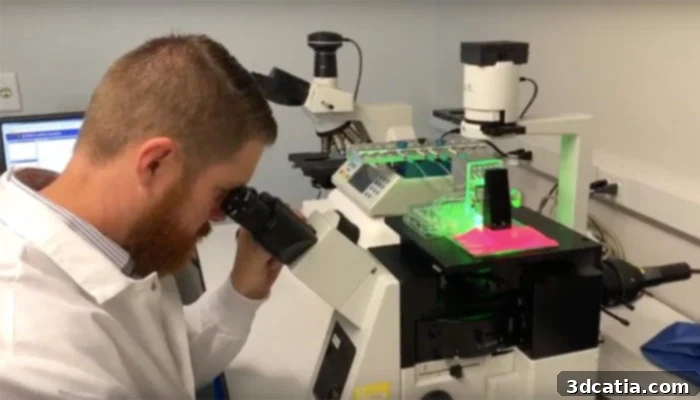 Engineers Bioprint Ligaments and Tendons 2 3D Bioprinting Ligaments and Tendons for Regenerative Medicine