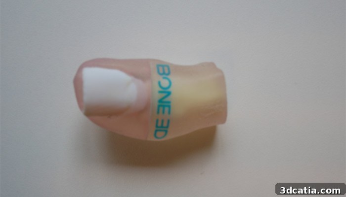 Anatomical Hallux care simulator by Bone3D | Photo Credits: Bone3D