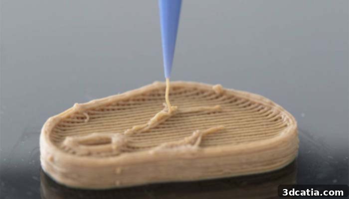3D printed meat