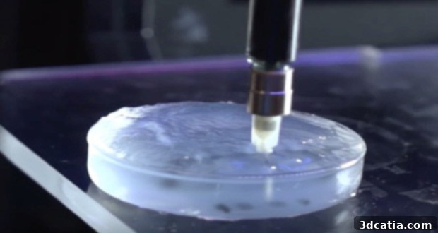 3D bioprinted human cartilage