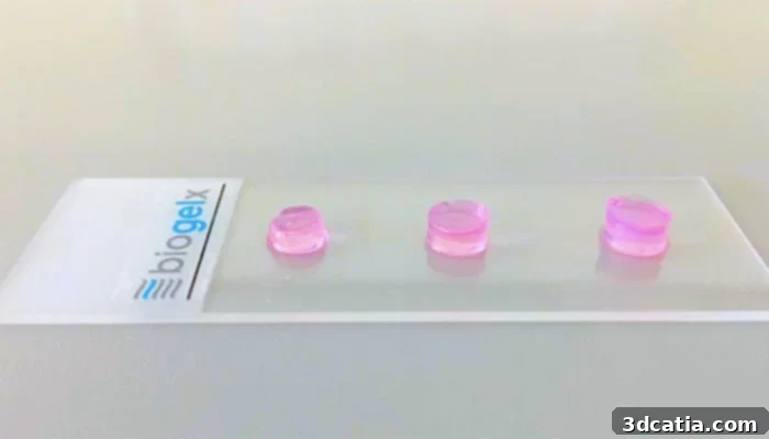 Biogelx's future projects include scaling production, collaborating on new applications, and expanding cell biology expertise
