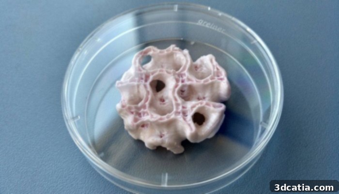 bioprinting space 