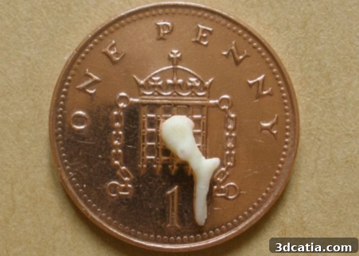 3D printed ear ossicles