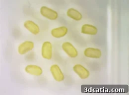 Close-up of magnetic liquid droplets exhibiting unique properties.