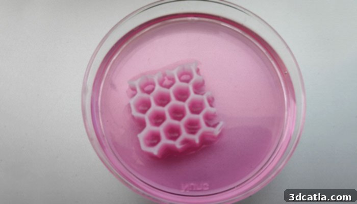Developing tissues with REGEMAT 3D technology
