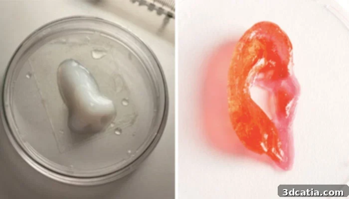 Allevi software for 3D bioprinting