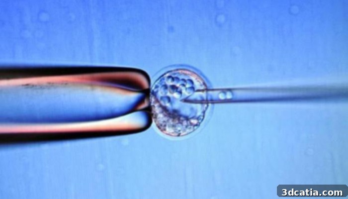 Sterile mouse gives birth after 3D printed ovarian scaffold implantation