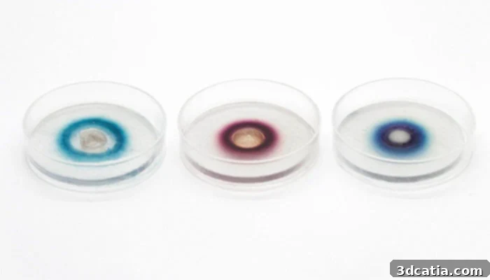 Hybrid Living Materials patterns on a 3D printed object