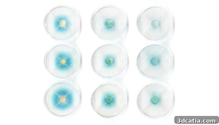 Hybrid Living Materials with defined shapes and distributions