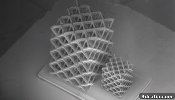 BMF MicroArch 3D Printed Parts