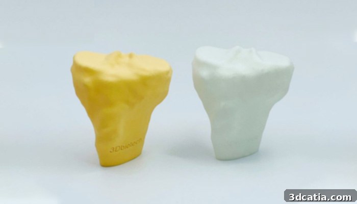 3D Printed Orthosis