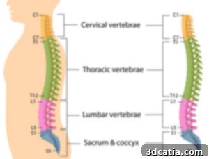 K2M's Mojave PL 3D spinal implant designed with Lamellar 3D Titanium Technology